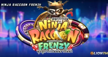 Ninja Raccoon Frenzy